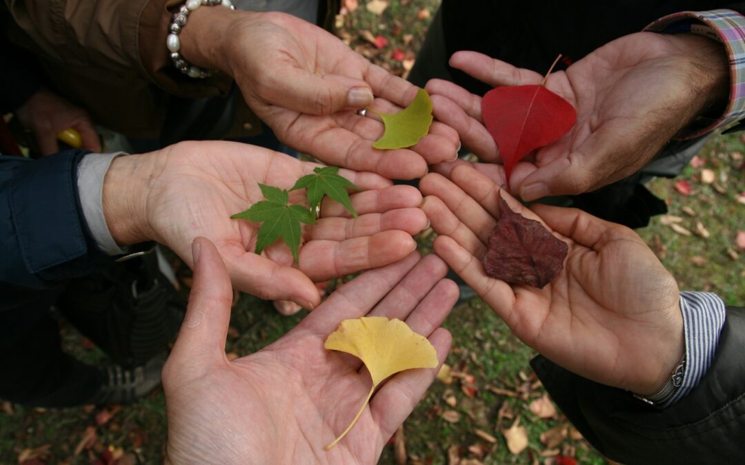 ¿Por qué decimos que el nuestro es un Festival Inclusivo? 