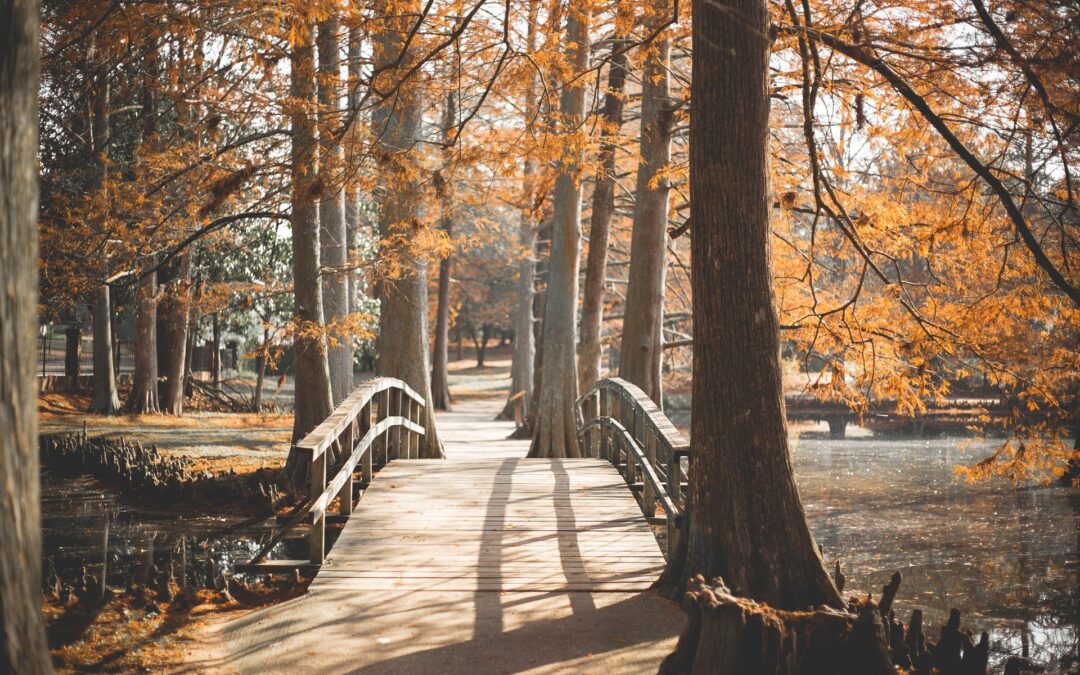 LA ACEPTACIÓN, UN PUENTE HACIA LA PAZ